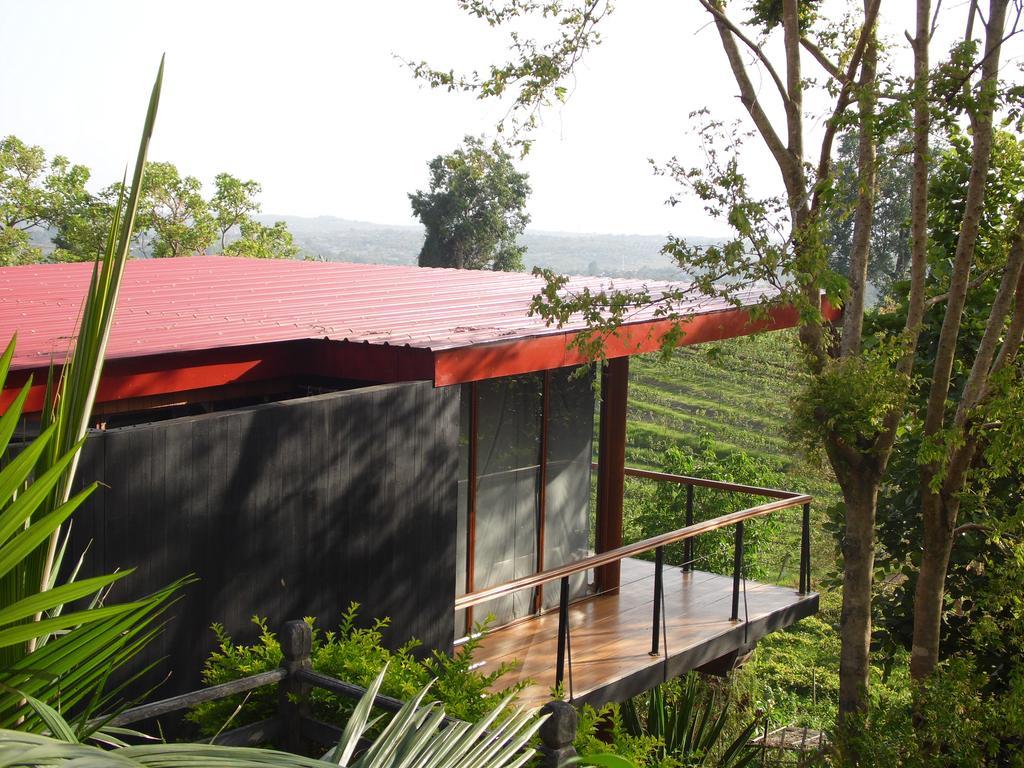 טאונג'י Aythaya Monte Divino Lodge מראה חיצוני תמונה