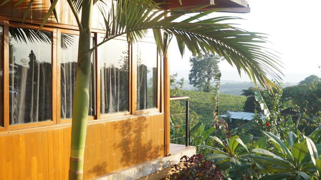 טאונג'י Aythaya Monte Divino Lodge מראה חיצוני תמונה